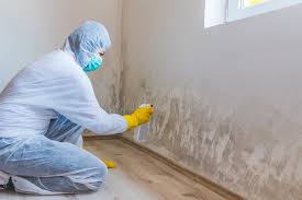 Best Mold Documentation for Insurance Claims  in Norco, LA