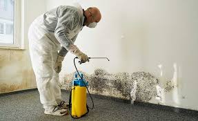 Best Asbestos and Lead Testing During Mold Inspection  in Norco, LA