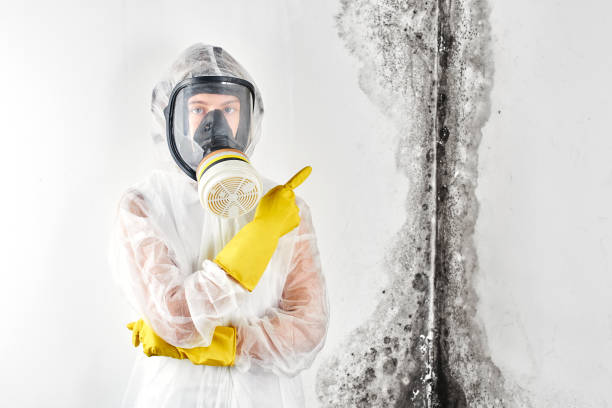 Norco, LA Mold Removal & Remediation Company