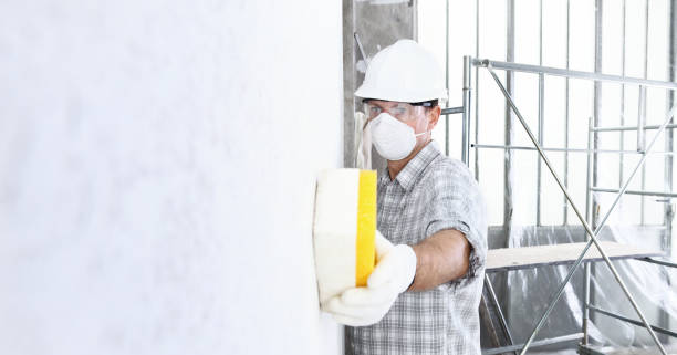 Mold Odor Removal Services in Norco, LA