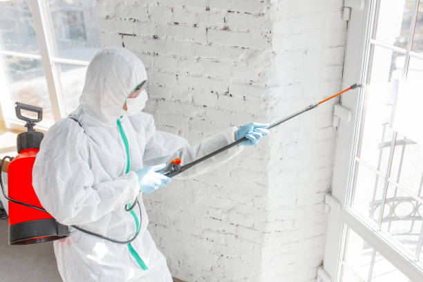 Best Asbestos and Lead Testing During Mold Inspection  in Norco, LA