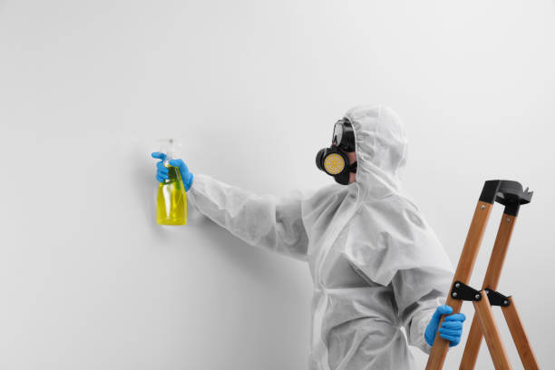 Best Forensic Mold Investigation  in Norco, LA